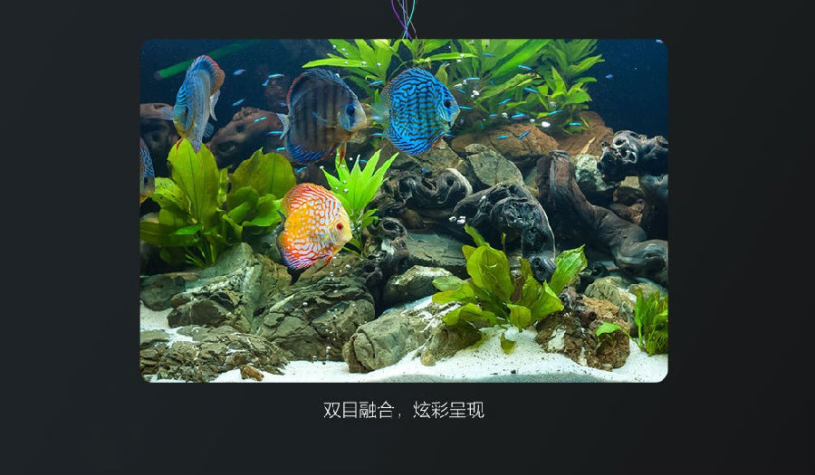 重庆监控设备批发公司